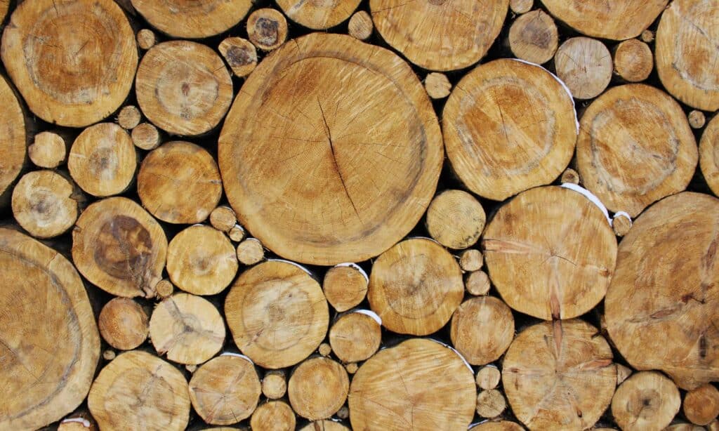 Das gewachsene Bewusstsein vieler Bauinteressenten für einen möglichst klimaschonenden Hausbau hat dem Baumaterial Holz in der jüngeren Zeit wieder zu steigender Bedeutung verholfen.